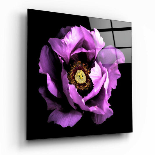 Magenta peony with dark center and yellow stamens displayed on black glass panel with geometric frame detail.
