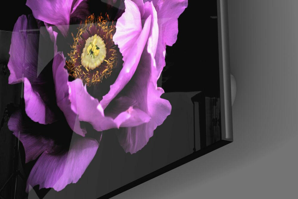 Angled view of mounted glass wall art displaying a vibrant magenta peony flower with yellow center against black background.