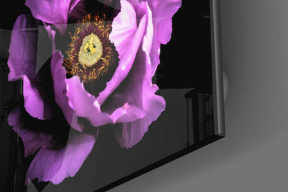 Angled view of mounted glass wall art displaying a vibrant magenta peony flower with yellow center against black background.
