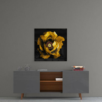 Yellow peony flower with dark center displayed as glass wall art above gray mid-century modern console table.