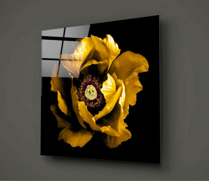 Yellow peony flower with dark red center displayed on black glass panel mounted on gray wall, showing product angle and reflection.