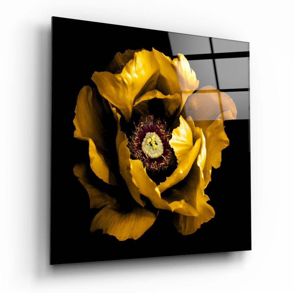 Yellow peony flower with dark burgundy center on black background, displayed as angled glass wall panel with grid pattern overlay.