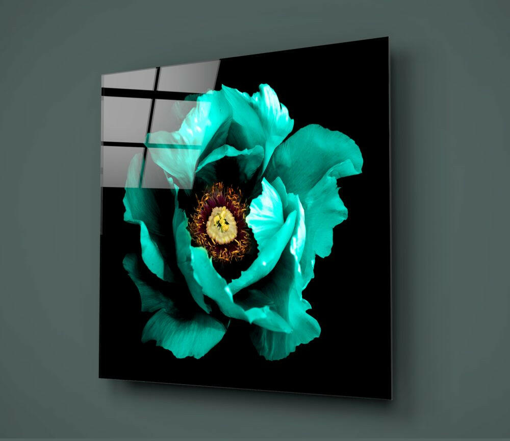 Turquoise peony flower with yellow center on black glass panel mounted on gray wall, showing front display view.