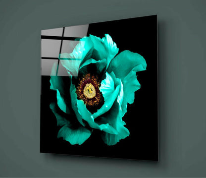 Turquoise peony flower with yellow center on black glass panel mounted on gray wall, showing front display view.