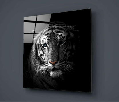 Blue Eyed Tiger Portrait Glass Wall Art