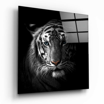 Blue Eyed Tiger Portrait Glass Wall Art