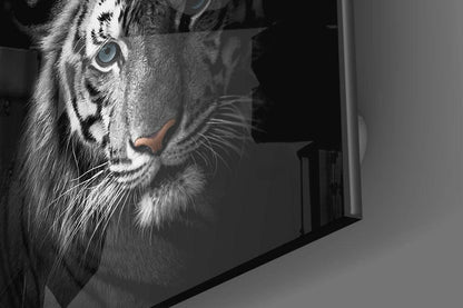 Blue Eyed Tiger Portrait Glass Wall Art