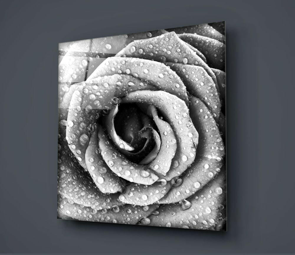 Black and White Dewy Rose Glass Wall Art