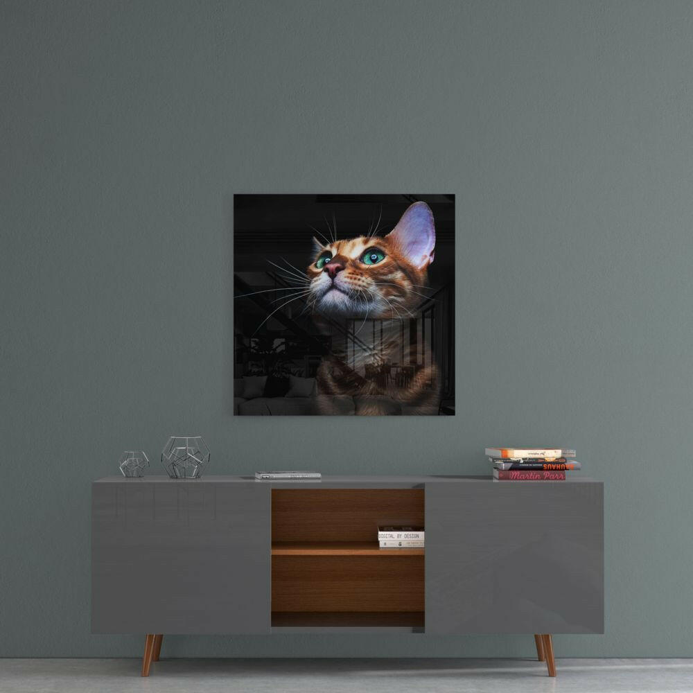 Orange tabby kitten glass wall art with bright blue eyes displayed above gray mid-century modern sideboard.