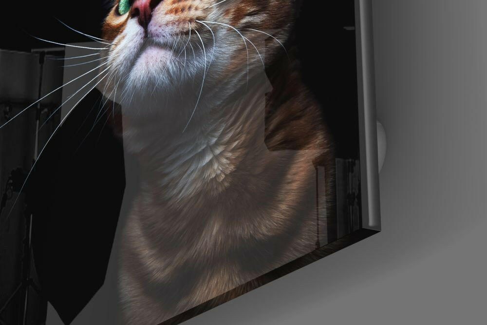 Tabby cat's face and upper body printed on frosted glass panel, angled upward against gray wall background.