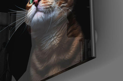 Tabby cat's face and upper body printed on frosted glass panel, angled upward against gray wall background.