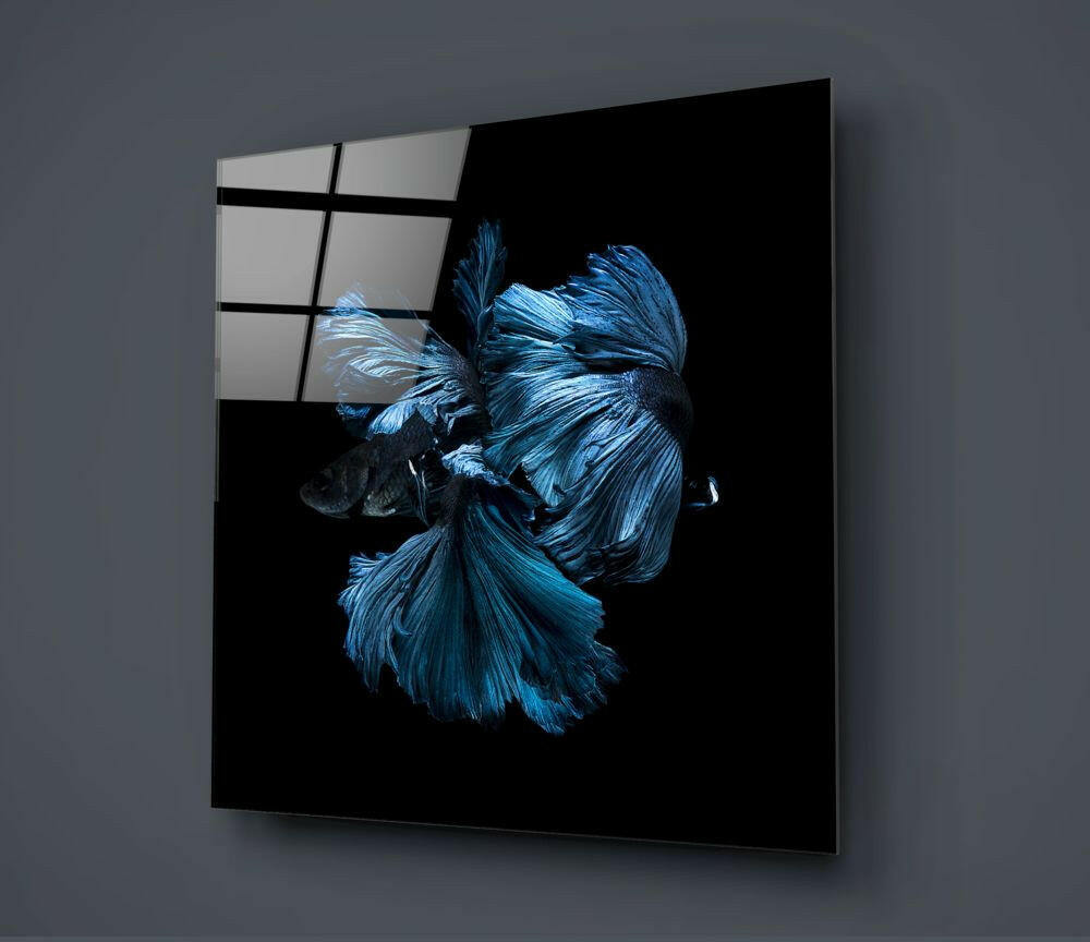 Sapphire Halfmoon Betta Fish Glass Wall Art