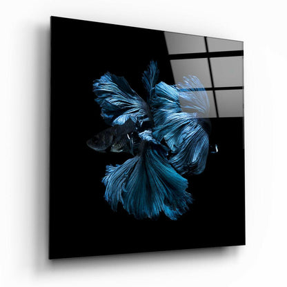Sapphire Halfmoon Betta Fish Glass Wall Art