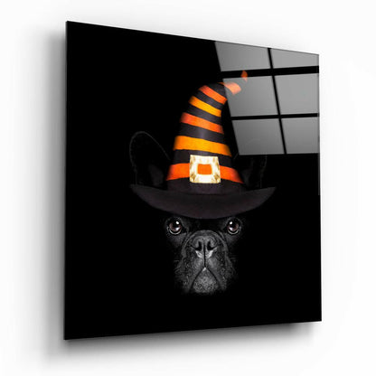 Witch Hat French Bulldog Glass Wall Art