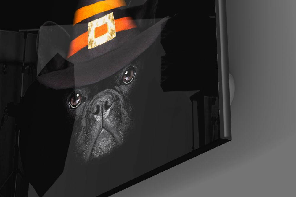 Witch Hat French Bulldog Glass Wall Art