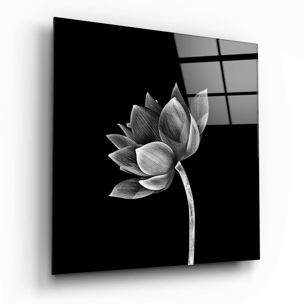 Black And White Tilted Lotus Floral Glass Wall Art