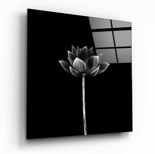 Black and white glass wall panel displaying a detailed lotus flower with stem against dark background, shown at an angle with window grid reflection visible on upper right edge.