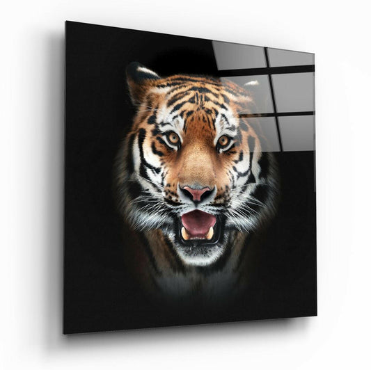 Close-up front view of a roaring tiger's face on black glass with grid pattern overlay, mounted at an angle.