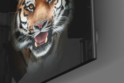Roaring Bengal Tiger Glass Wall Art