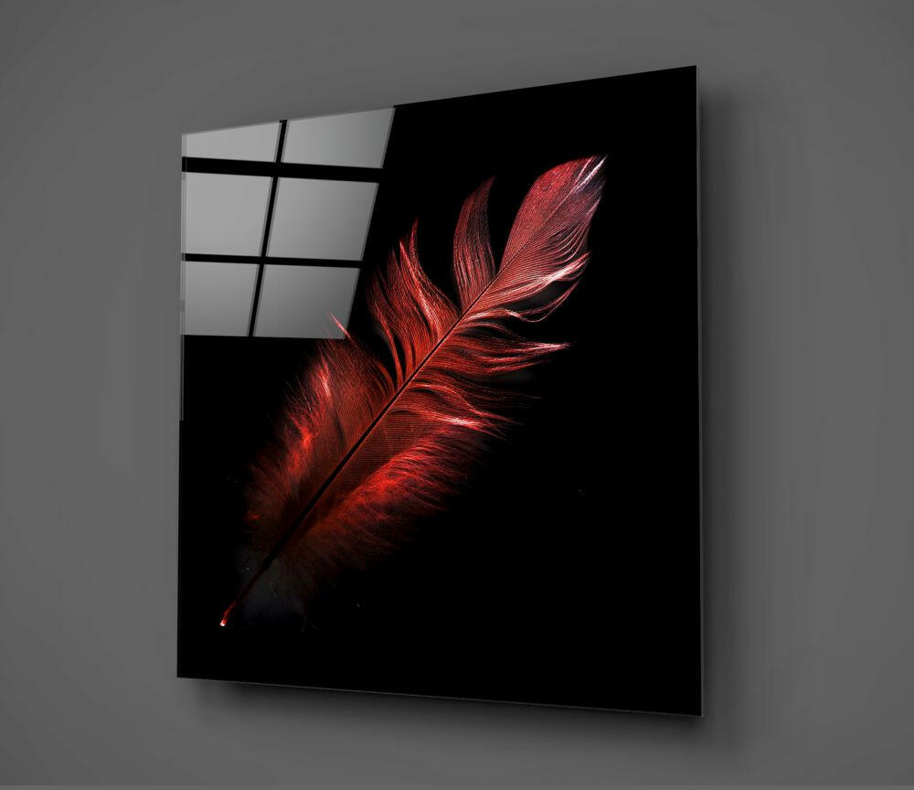 Crimson Glowing Feather on Black Glass Wall Art