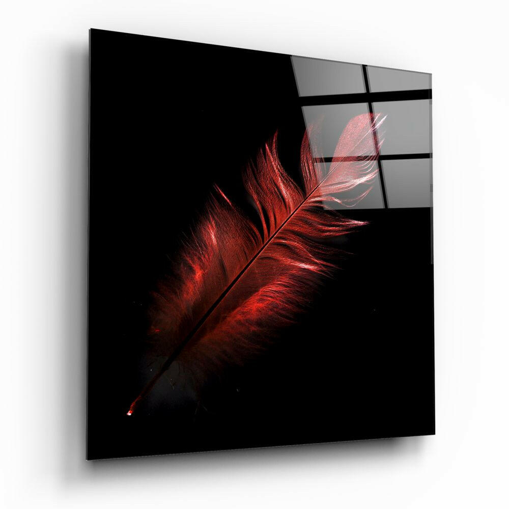 Crimson Glowing Feather on Black Glass Wall Art
