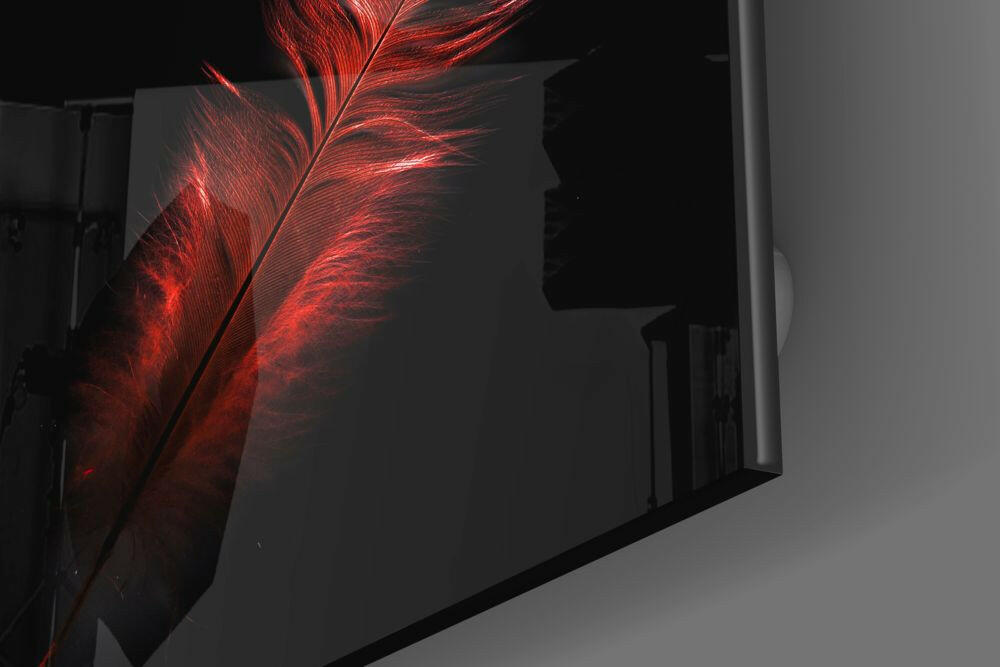 Crimson Glowing Feather on Black Glass Wall Art