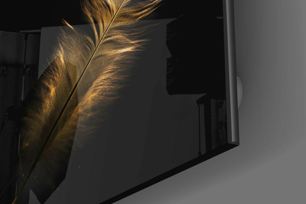 Golden Backlit Feather on Black Glass Wall Art