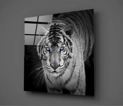 Blue Eyed White Tiger Glass Wall Art