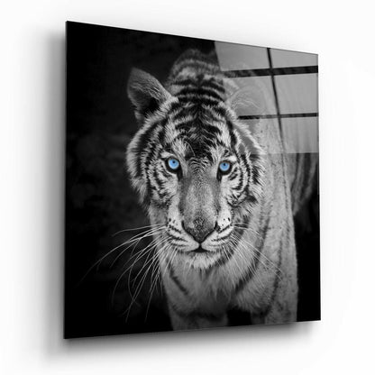 Blue Eyed White Tiger Glass Wall Art