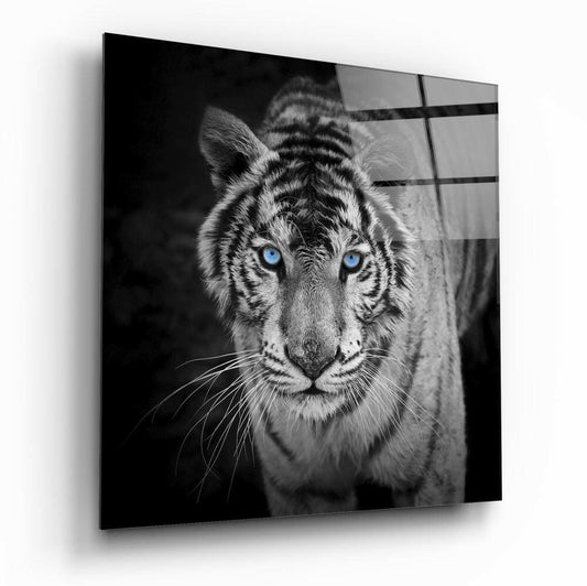 Black and white glass panel featuring a close-up tiger face with striking blue eyes, displayed at an angle against white background.