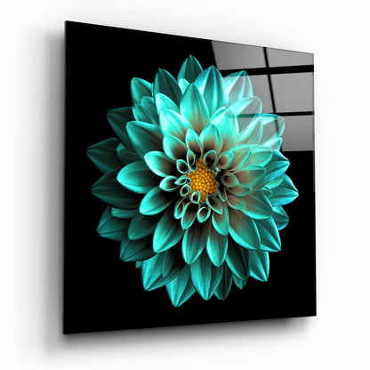 Aqua Dahlia With Gold Center Glass Wall Art