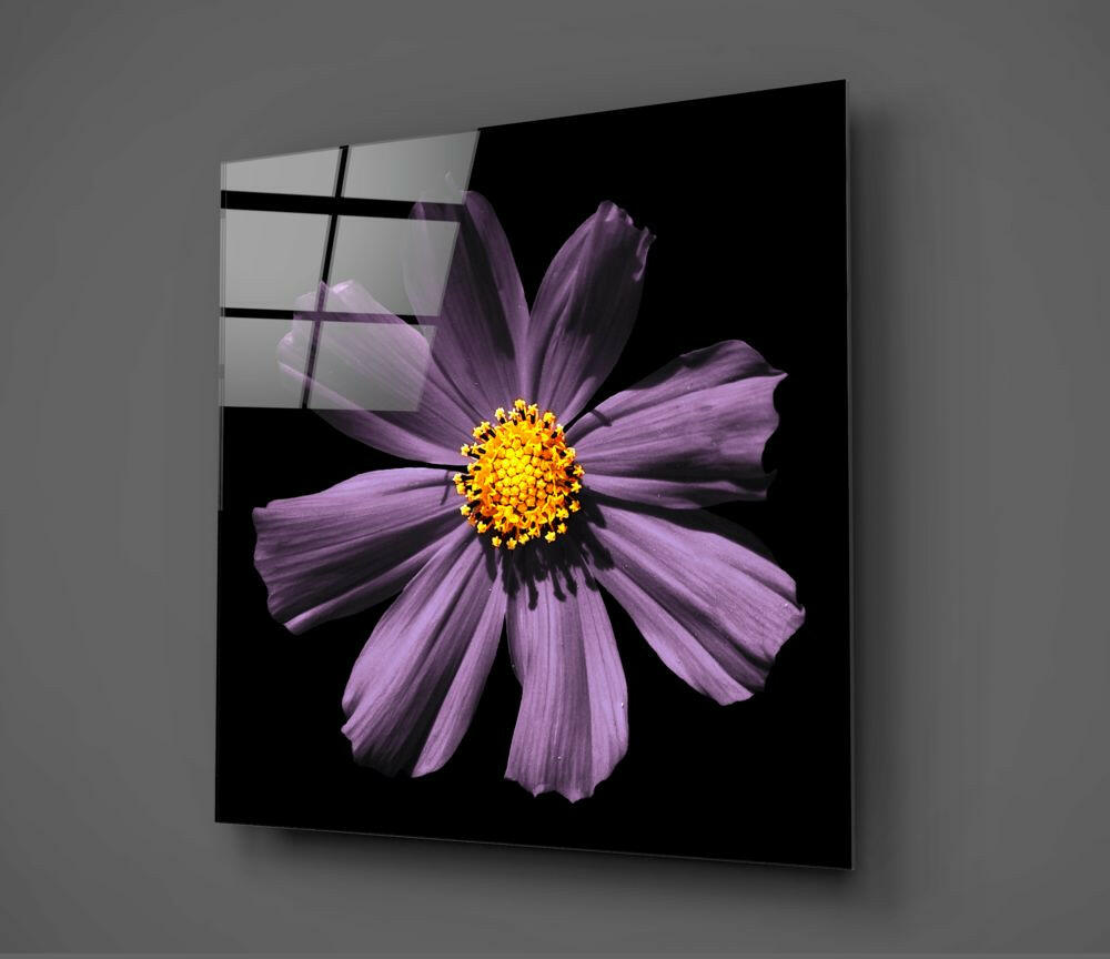 Yellow Centered Purple Cosmos Flower Glass Wall Art