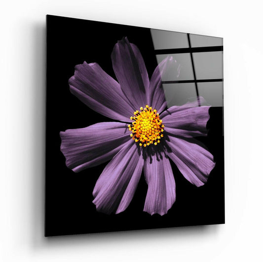 Purple cosmos flower with bright yellow center on black background displayed as glass wall art panel with grid overlay.