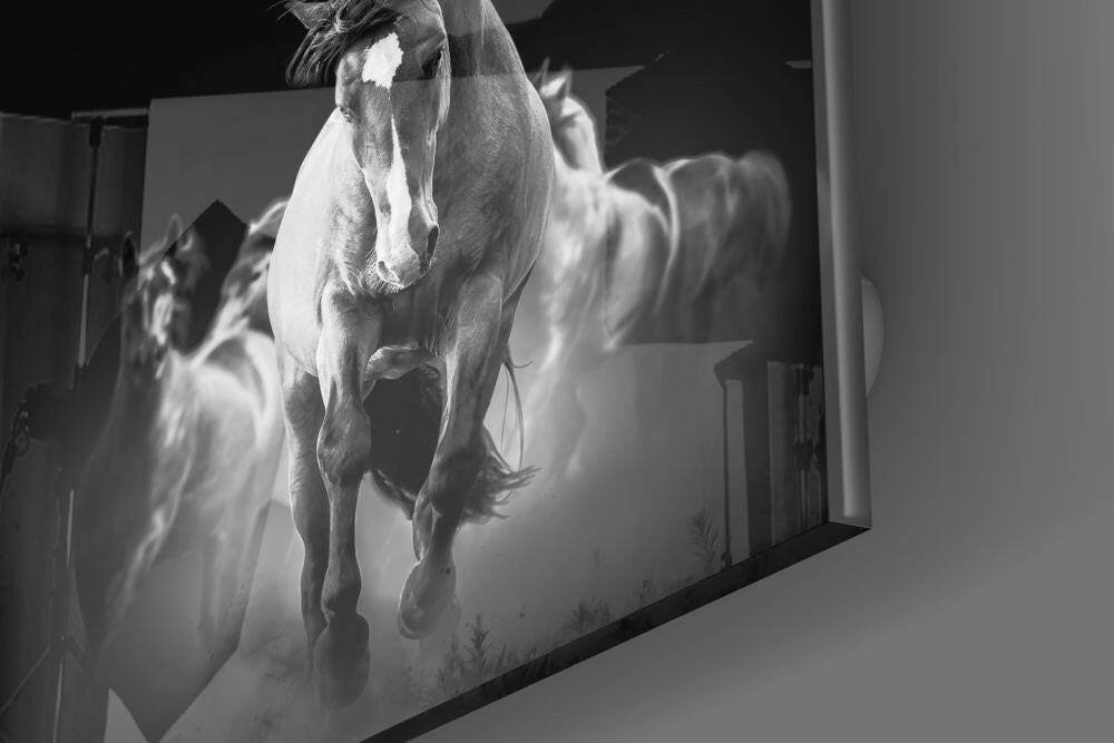 Galloping White Horse Herd Glass Wall Art