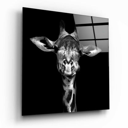 Black and White Giraffe Portrait Glass Wall Art
