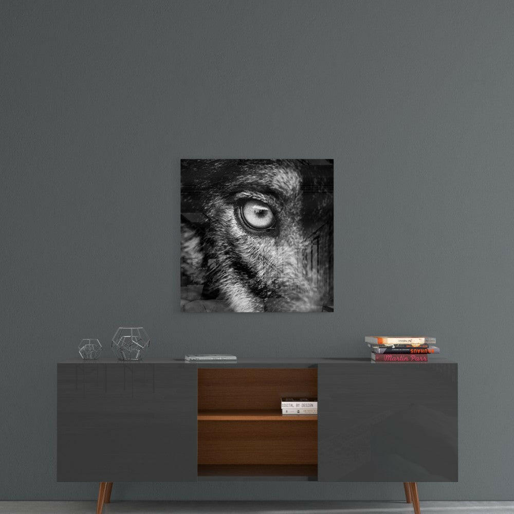 Wolf Eye Black and White Closeup Glass Wall Art