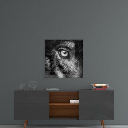 Wolf Eye Black and White Closeup Glass Wall Art