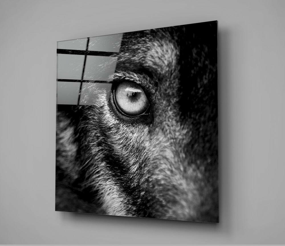 Wolf Eye Black and White Closeup Glass Wall Art