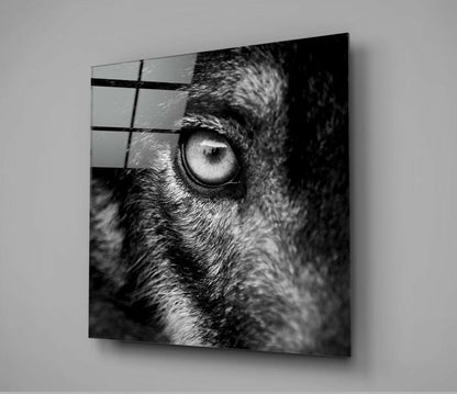Wolf Eye Black and White Closeup Glass Wall Art
