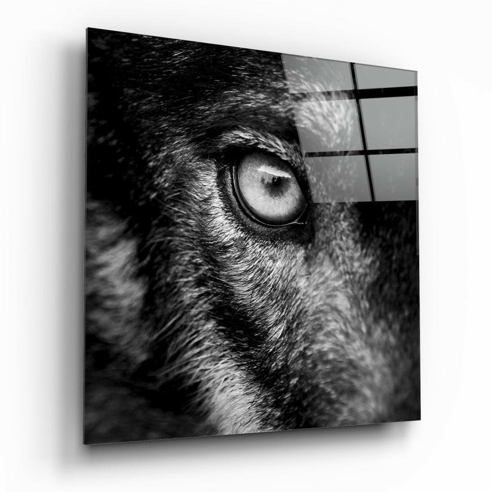 Wolf Eye Black and White Closeup Glass Wall Art
