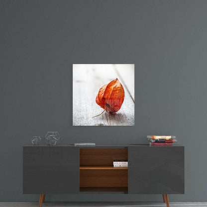 Orange-red papery seed pod displayed on wooden surface, shown hanging on gray wall above mid-century furniture.