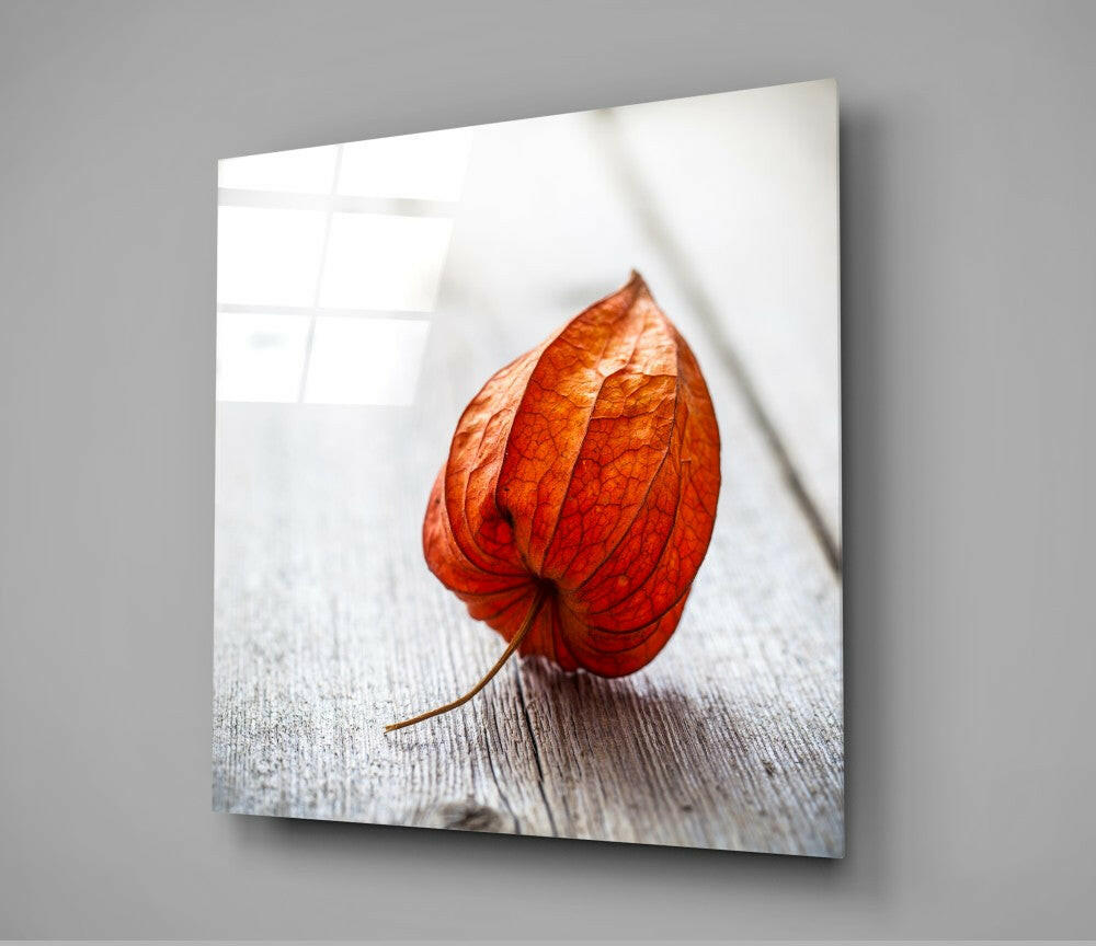 A bright red-orange physalis lantern rests on weathered white wood, displayed as a framed glass wall art piece angled against gray background.