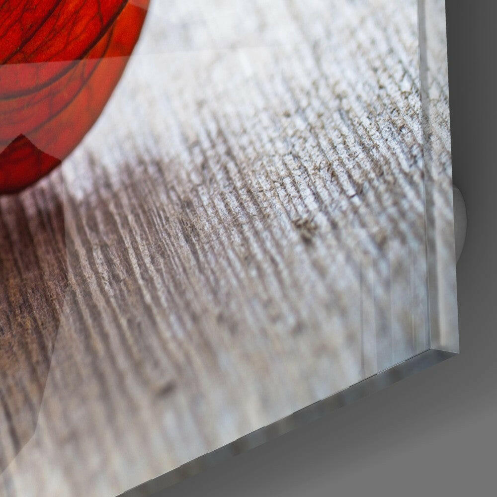 Close-up detail of textured glass surface with white leaf veining pattern and red accent in upper left corner.