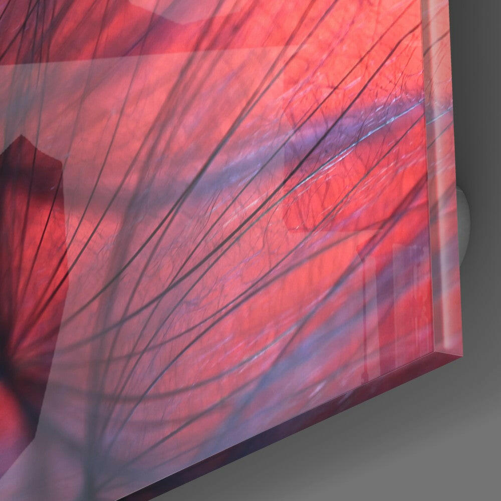 Close-up angled view of red and purple dandelion seeds etched into translucent glass panel against gray background.