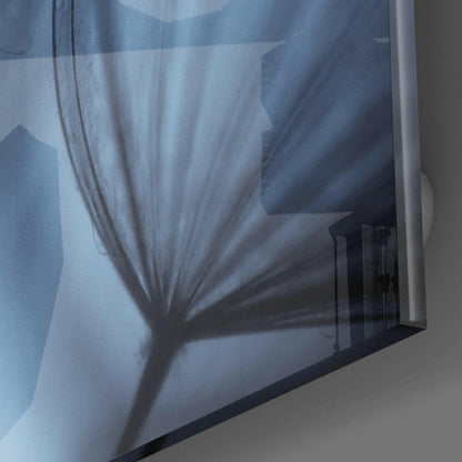 Close-up angled view of glass wall art featuring a dandelion silhouette in blue and gray tones with black frame edge visible.