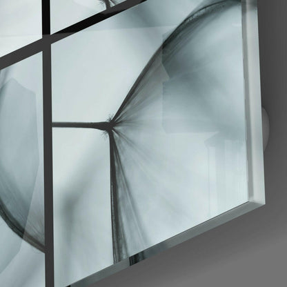 Close-up detail of frosted glass panel with black metal frame showing dandelion seed head design against white background.