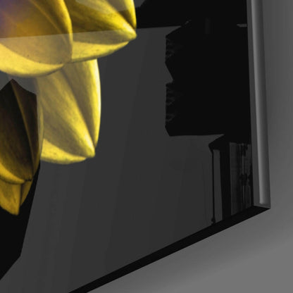 Purple Centered Yellow Dahlia Flower Glass Wall Art