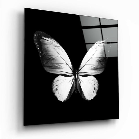 Black and white photograph of a butterfly with detailed wing patterns displayed on a black glass panel with gridded window reflection.