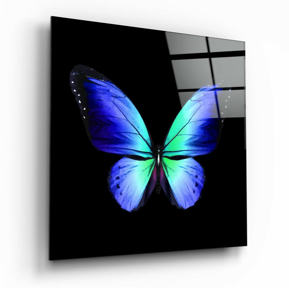 Cobalt Blue And Green Wings Butterfly Glass Wall Art