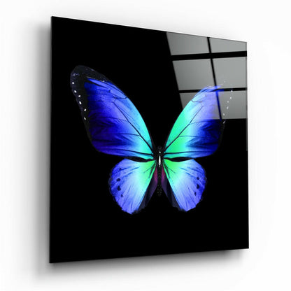 Cobalt Blue And Green Wings Butterfly Glass Wall Art